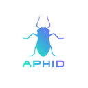 Aphid