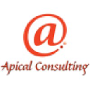 apical-consulting.com