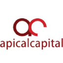 apicalcapital.in