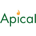 apicalgroup.com