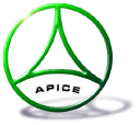 Apice SRL