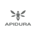 apidura.com