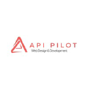 API PILOT