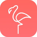 app-flamingo.com