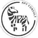 APY CONSULT