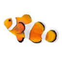 aquariumstoredepot.com
