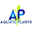 Aquatic Plants SA Considir business directory logo