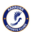 ararunaec.com