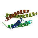 Artery Therapeutics