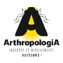 arthropologia.org