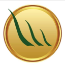 Artificial Grass Masters