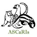 ascaris.org