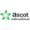 ascot1.com