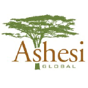 ashesiglobal.com