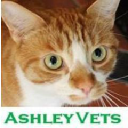 ashley-vets.co.uk