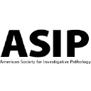 American Society for Investigative Pathology