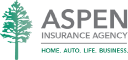 aspeninsuranceagency.com
