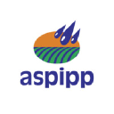 aspipp.com.br