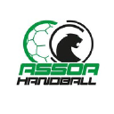 assoa-handball.fr
