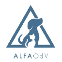 associazione-alfa.org
