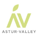 asturvalley.com