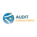 audit-consultants.com
