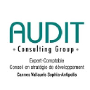 audit-consulting-group.com