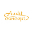 AUDIT CONCEPT