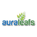 auraleafs.com