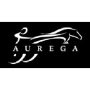 auregaglobal.com