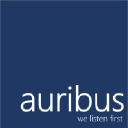 auribusconsulting.com