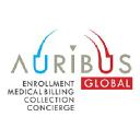 auribusglobal.com