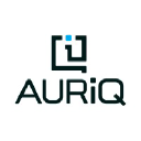 AuriQ Systems Inc