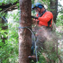 Aussie Tree Care logo