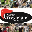 austingreyhounds.org