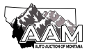 Auto Auction