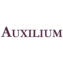 auxilium-advisory.co.uk