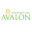 Avalon Consulting Group Inc