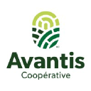 avantis.coop