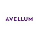 avellum.com