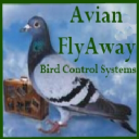 Avian Flyaway Logo