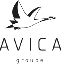 avica-groupe.com