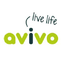 avivo.org.au