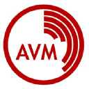 avmconsultinggroup.com