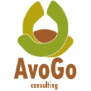 avogoconsulting.com