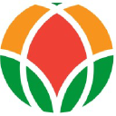 The World Vegetable Center logo