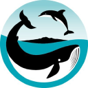 whalesvancouver.com