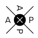 axp.nl