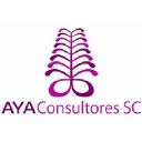 ayaconsultores.mx