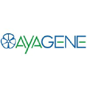 ayagene.com